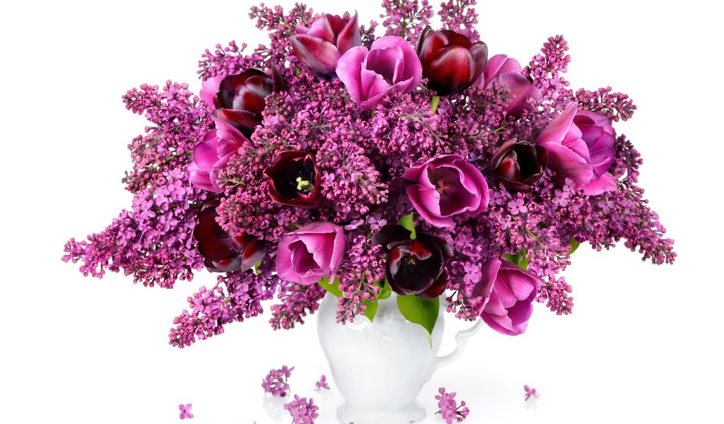 Обои цветы, бутоны, лепестки, букет, тюльпаны, сирень, сиреневая, тульпаны, букеты, flowers, buds, petals, bouquet, tulips, lilac, bouquets разрешение 5000x3790 Загрузить
