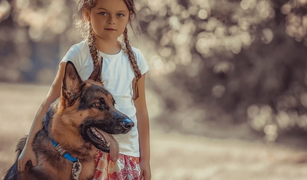 Обои собака, девочка, ребенок, друзья, немецкая овчарка, dog, girl, child, friends, german shepherd разрешение 1920x1200 Загрузить