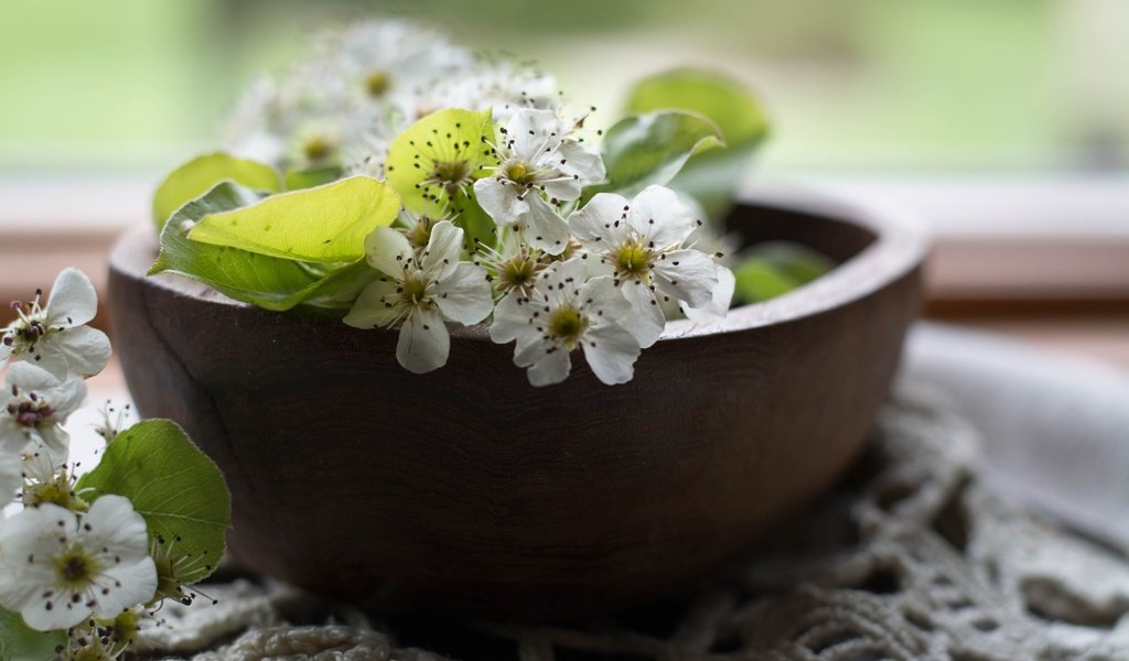 Обои цветы, цветение, листья, лепестки, весна, салфетка, груша, миска, flowers, flowering, leaves, petals, spring, napkin, pear, bowl разрешение 3600x2400 Загрузить