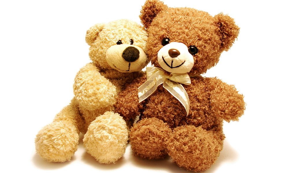 Обои игрушка, пара, белый фон, тедди, медведи, плюшевый мишка, toy, pair, white background, teddy, bears, teddy bear разрешение 4816x3210 Загрузить