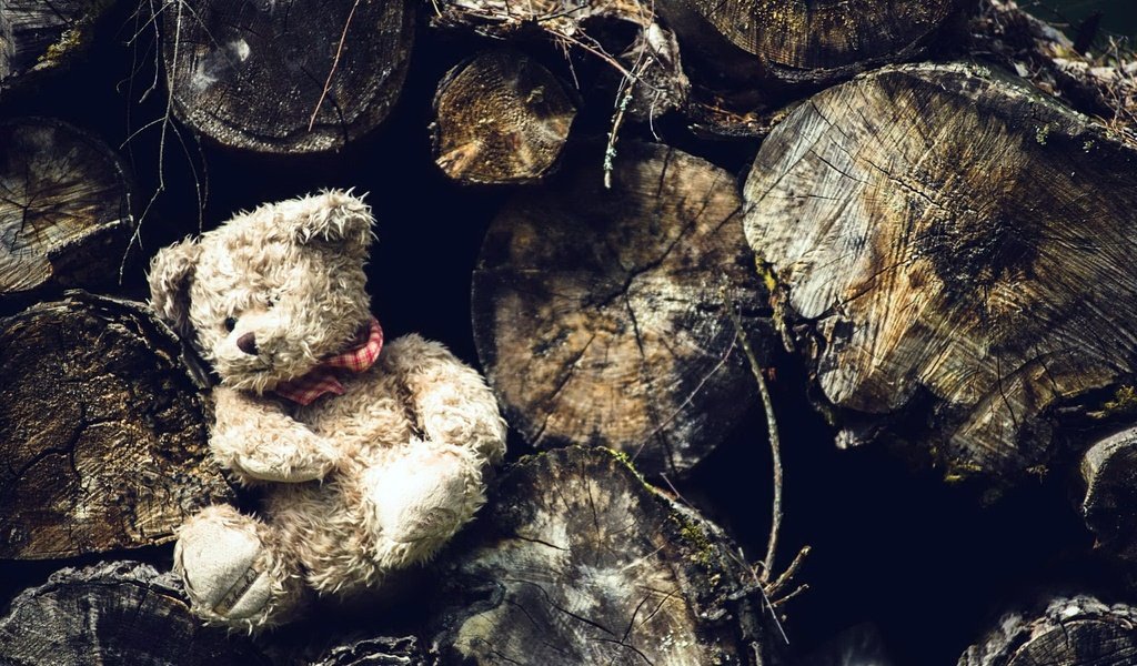 Обои медведь, мишка, игрушка, бревна, плюшевый медведь, мягкая игрушка, bear, toy, logs, teddy bear, soft toy разрешение 2048x1366 Загрузить