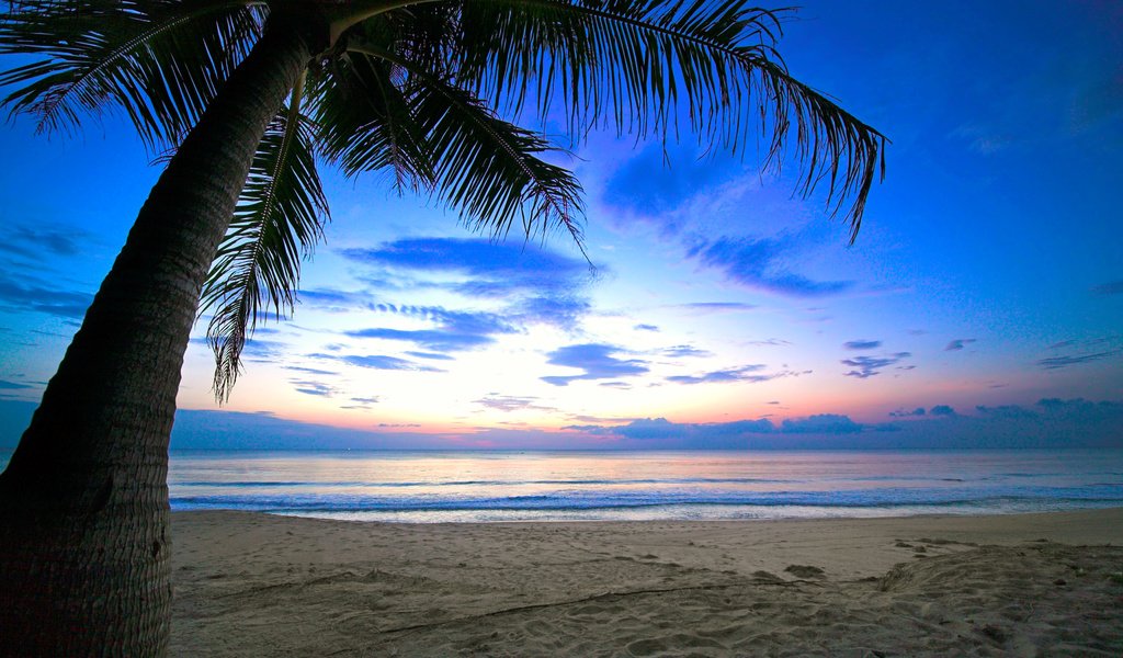 Обои закат, море, пляж, тропики, 10, sunset, sea, beach, tropics разрешение 8052x5368 Загрузить