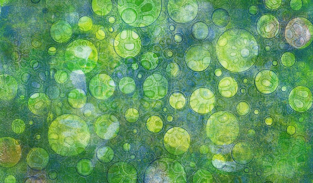 Обои абстракция, зелёный, узор, цвет, форма, круги, abstraction, green, pattern, color, form, circles разрешение 3009x1865 Загрузить