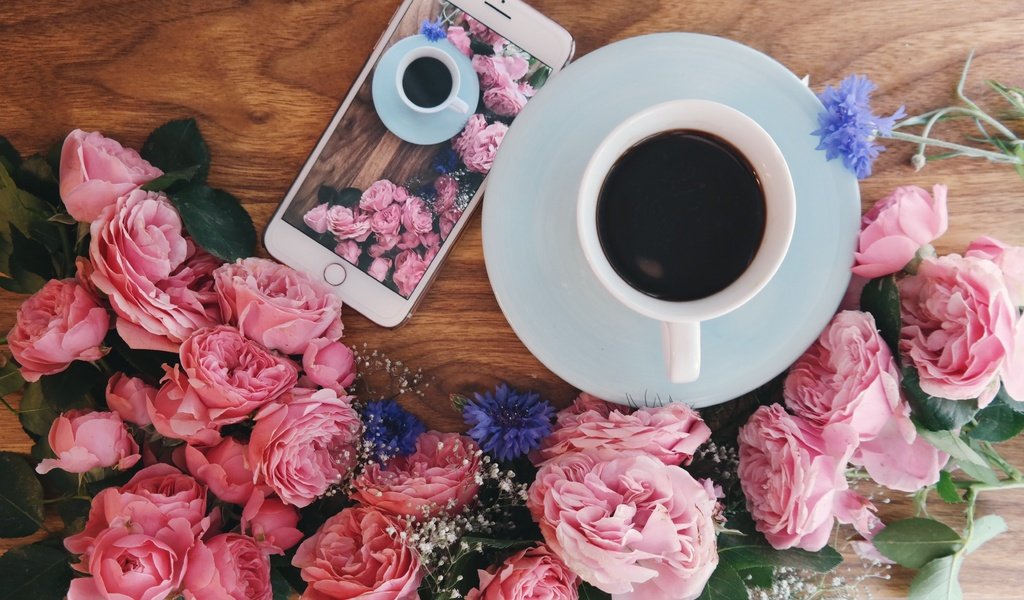 Обои цветы, розы, кофе, завтрак, flowers, roses, coffee, breakfast разрешение 5183x3402 Загрузить