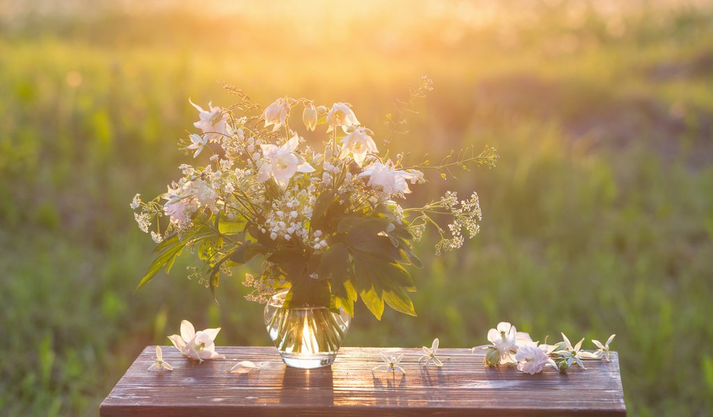Обои цветы, природа, фон, стол, букет, ваза, flowers, nature, background, table, bouquet, vase разрешение 3994x2663 Загрузить