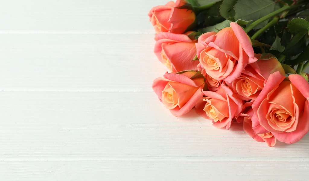 Обои цветы, бутоны, розы, лепестки, букет, красивые, flowers, buds, roses, petals, bouquet, beautiful разрешение 6720x4480 Загрузить
