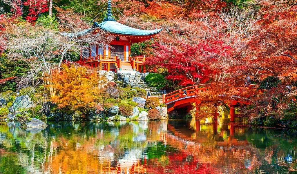 Обои деревья, листья, парк, киото, японии, trees, leaves, park, kyoto, japan разрешение 4928x3280 Загрузить