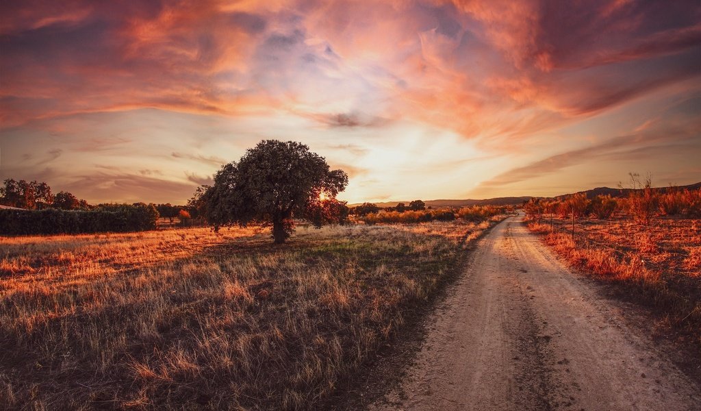 Обои дорога, дерево, закат, road, tree, sunset разрешение 2048x1365 Загрузить