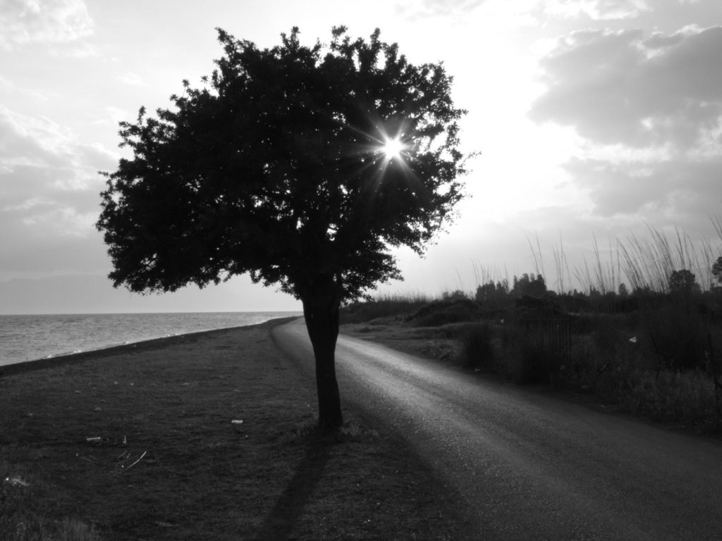 Обои дорога, дерево, чёрно-белое, черно-белая, road, tree, black and white разрешение 1920x1440 Загрузить