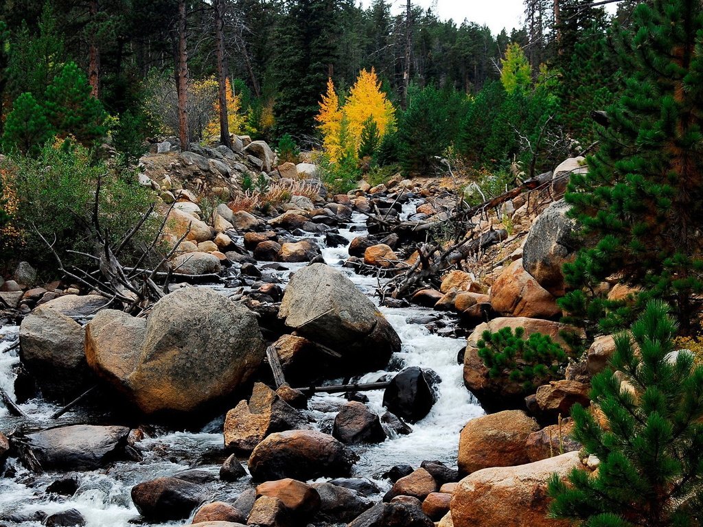 Обои небо, поток, деревья, вода, горы, природа, камни, пейзаж, ручей, the sky, trees, water, mountains, nature, stones, landscape, stream разрешение 1920x1080 Загрузить