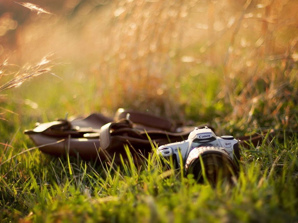 Обои трава, фотоаппарат, камера, канон, grass, the camera, camera, canon разрешение 1920x1200 Загрузить