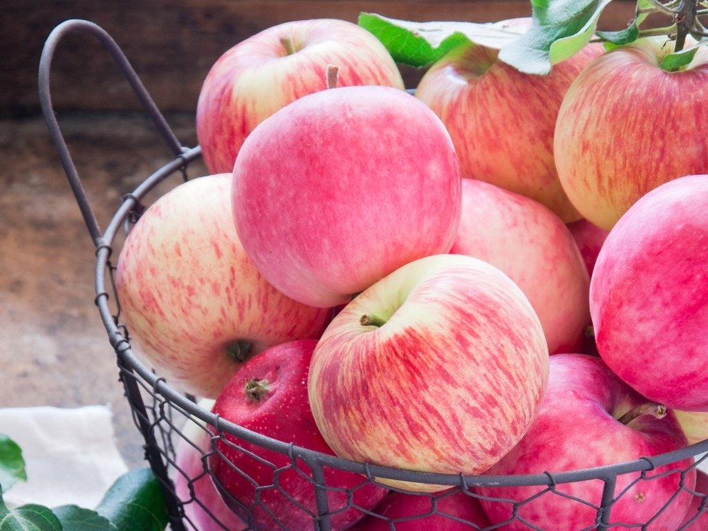 Обои фрукты, яблоки, fruit, apples разрешение 1920x1257 Загрузить