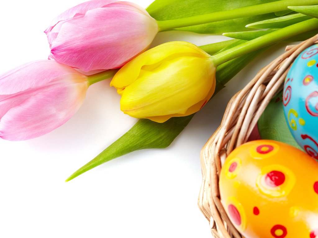 Обои зеленые пасхальные, цветы, довольная, весна, тюльпаны, пасха, яйца, тульпаны,  цветы, глазунья, декорация, весенние, flowers, happy, spring, tulips, easter, eggs, decoration разрешение 4800x3200 Загрузить