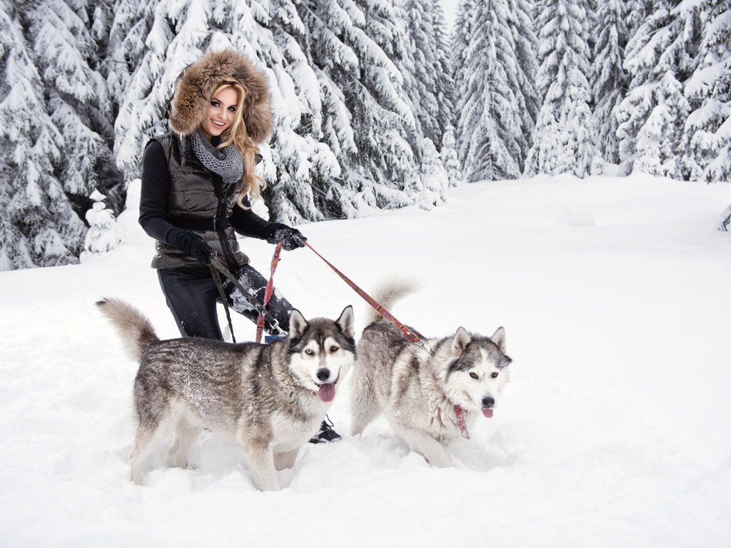 Обои собаки, снег, лес, зима, девушка, блондинка, улыбка, хаски, мех, dogs, snow, forest, winter, girl, blonde, smile, husky, fur разрешение 7360x4912 Загрузить