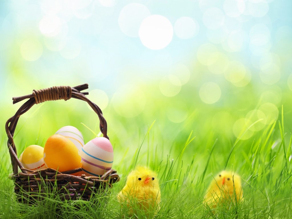 Обои трава, весна, корзина, пасха, яйца, боке, цыплята, grass, spring, basket, easter, eggs, bokeh, chickens разрешение 4200x3047 Загрузить