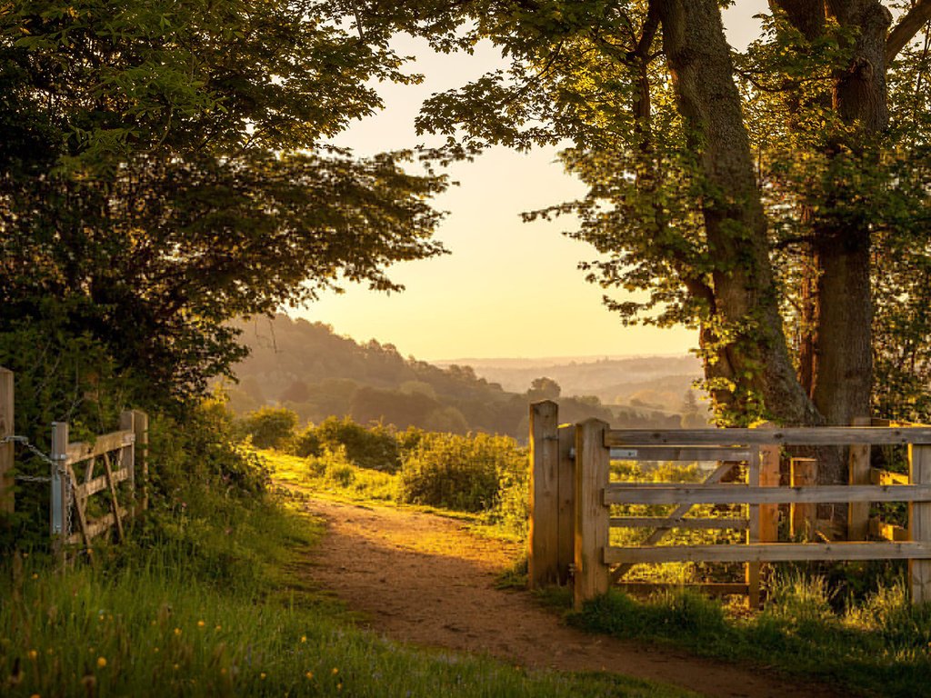 Обои дорога, ворота, деревья, англия, природа, the british countryside, растения, пейзаж, парк, лето, забор, road, gate, trees, england, nature, plants, landscape, park, summer, the fence разрешение 1920x1200 Загрузить