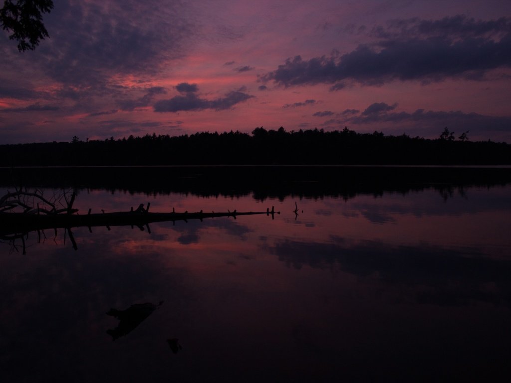 Обои небо, облака, вечер, река, природа, лес, закат, горизонт, the sky, clouds, the evening, river, nature, forest, sunset, horizon разрешение 3840x2560 Загрузить