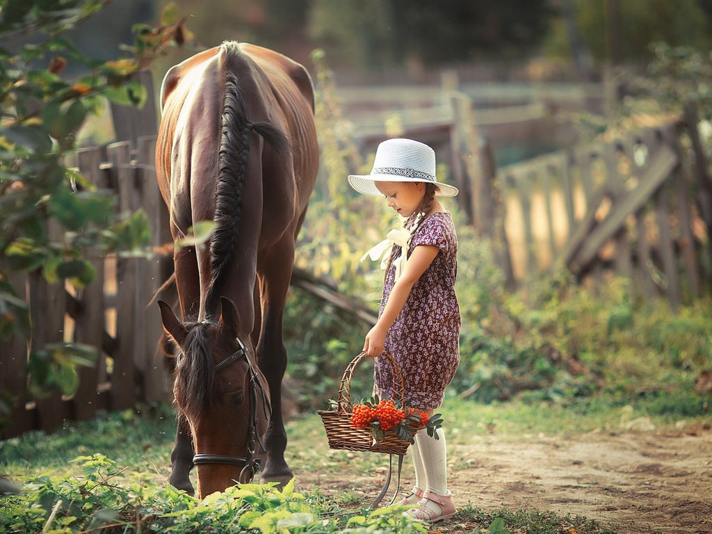 Обои лошадь, девочка, корзина, рябина, horse, girl, basket, rowan разрешение 2112x1188 Загрузить
