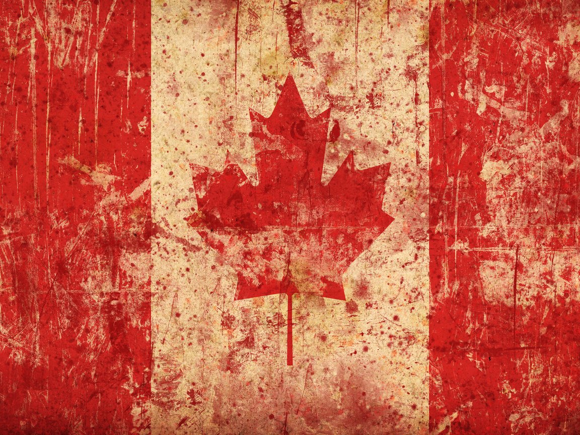 Обои флаг, канада, кленовый лист, flag, canada, maple leaf разрешение 2560x1600 Загрузить