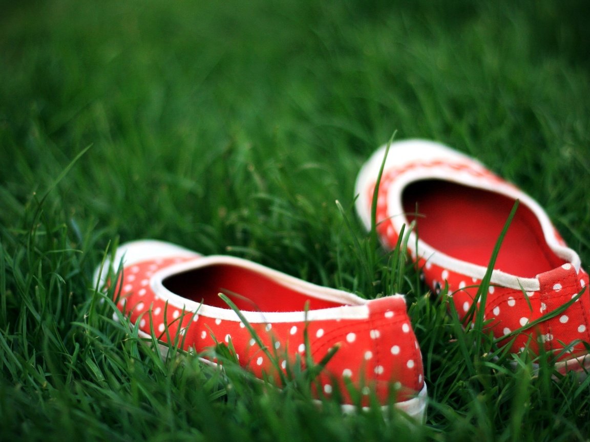 Обои трава, зелёный, обувь, горошек, grass, green, shoes, polka dot разрешение 2560x1600 Загрузить