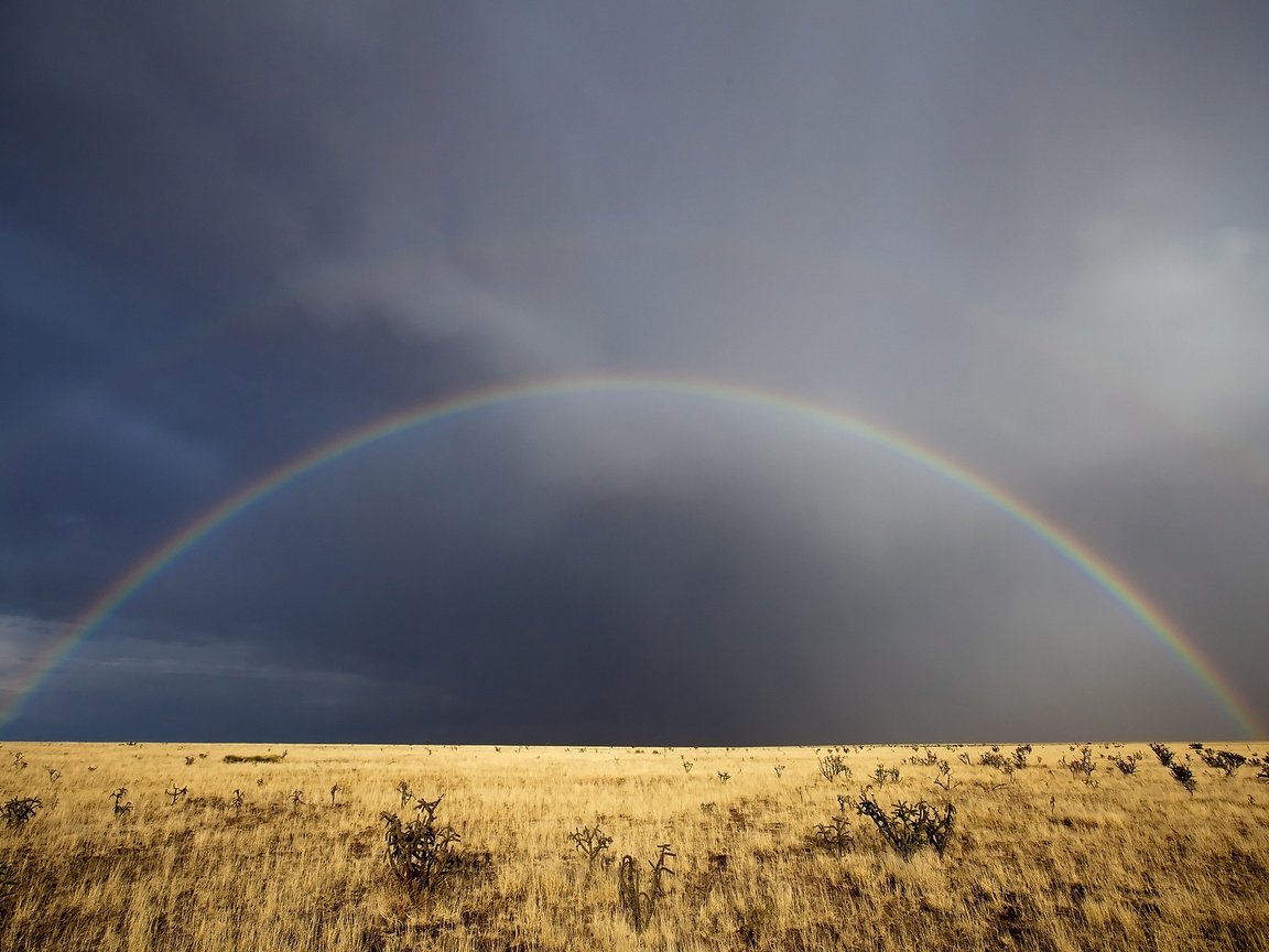 Обои небо, трава, облака, радуга, нью-мексико, the sky, grass, clouds, rainbow, new mexico разрешение 2560x1600 Загрузить