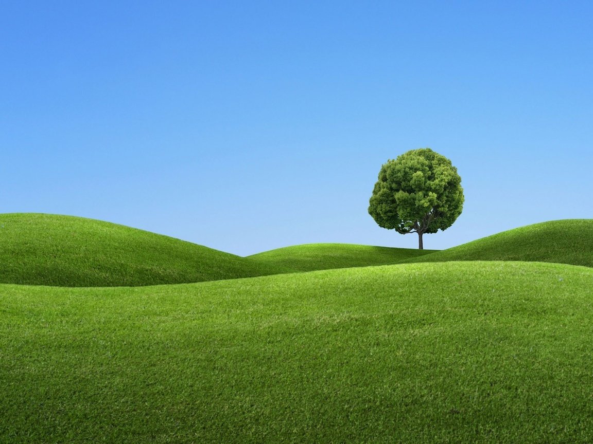 Обои холмы, дерево, зелёный, синий, hills, tree, green, blue разрешение 1920x1200 Загрузить
