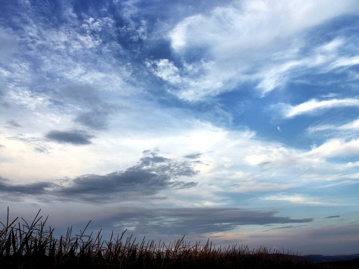 Обои небо, облака, the sky, clouds разрешение 1920x1200 Загрузить