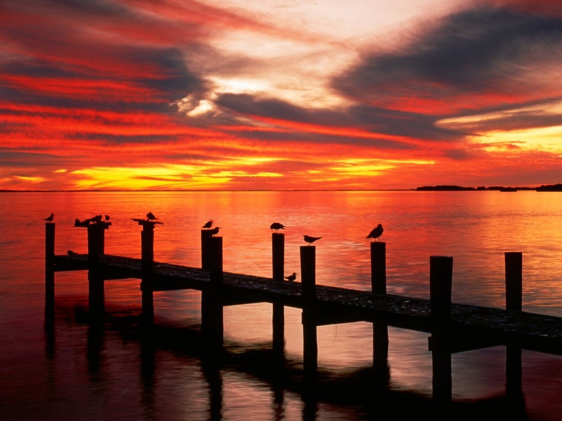 Обои озеро, закат, причал, чайки, lake, sunset, pier, seagulls разрешение 1999x1333 Загрузить