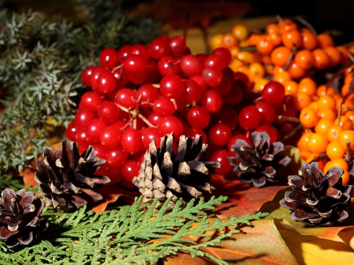 Обои осень, ягоды, шишки, рябина, калина, autumn, berries, bumps, rowan, kalina разрешение 1920x1200 Загрузить