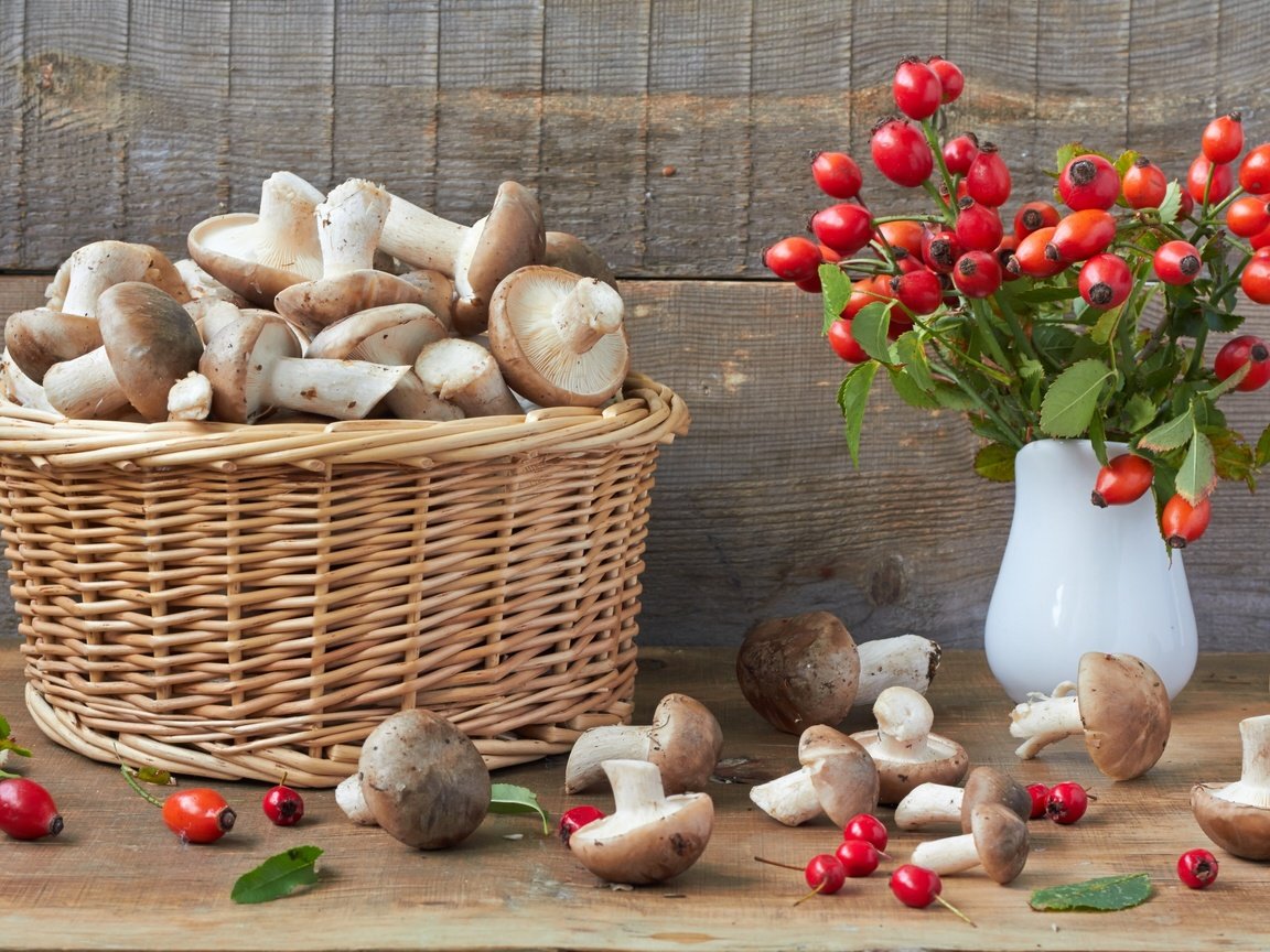 Обои грибы, шиповник, корзина, боярышник, mushrooms, briar, basket, hawthorn разрешение 3600x2400 Загрузить