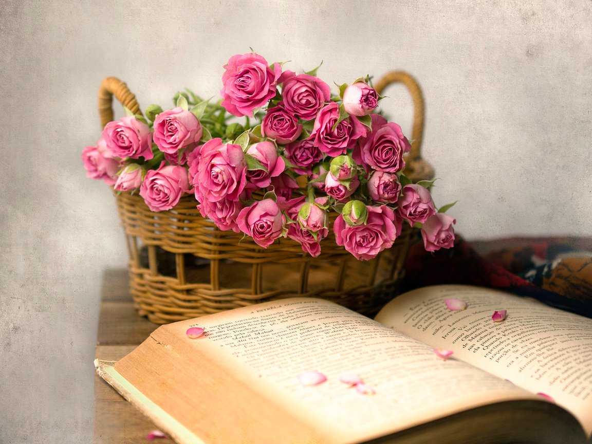 Обои розы, лепестки, корзина, книга, roses, petals, basket, book разрешение 2000x1384 Загрузить