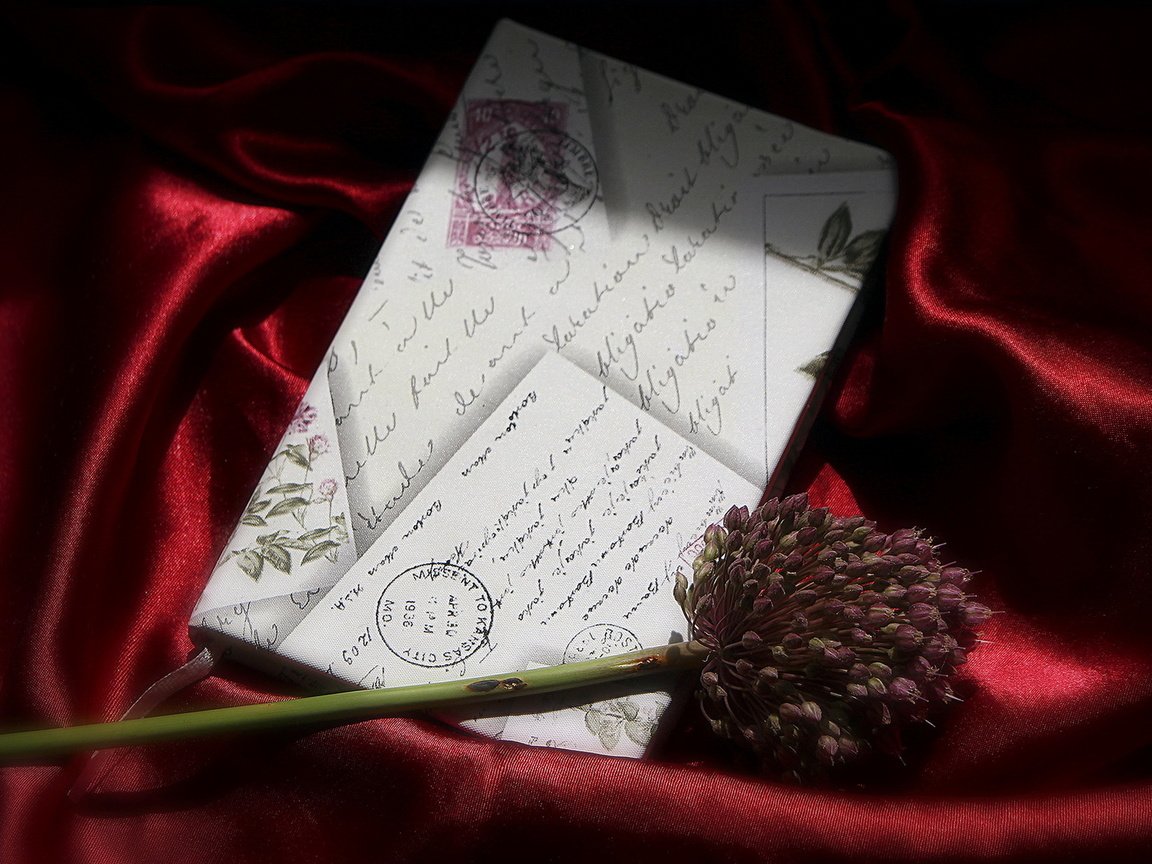 Обои фон, цветок, письмо, background, flower, letter разрешение 1920x1230 Загрузить