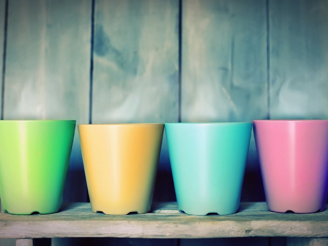 Обои разноцветные, кружки, чай, чашки, colorful, mugs, tea, cup разрешение 2560x1440 Загрузить
