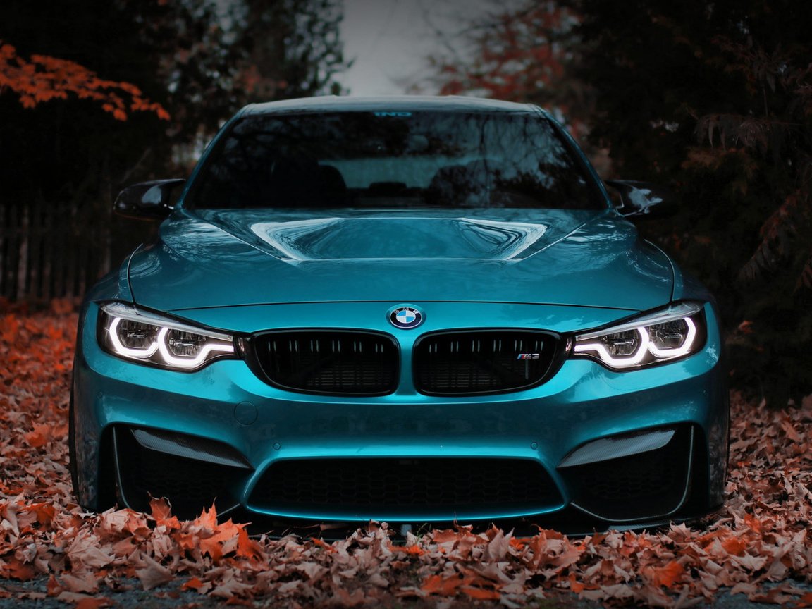 Обои листва, забор, авто, бмв, f80, foliage, the fence, auto, bmw разрешение 1920x1080 Загрузить