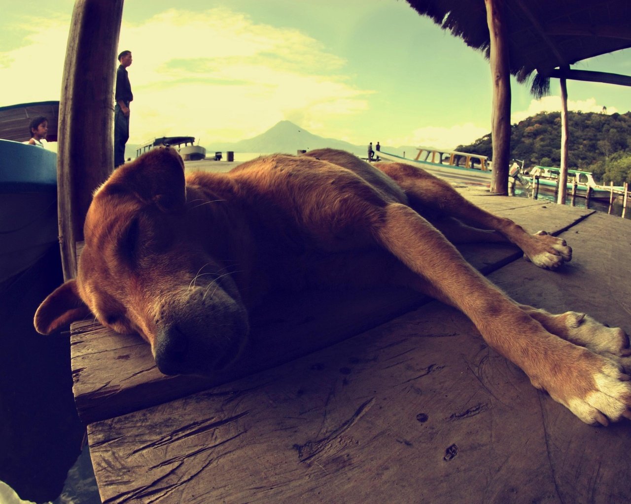 Обои пейзаж, люди, собака, лежит, спит, лодка, пес, гуатемала, landscape, people, dog, lies, sleeping, boat, guatemala разрешение 2991x1994 Загрузить