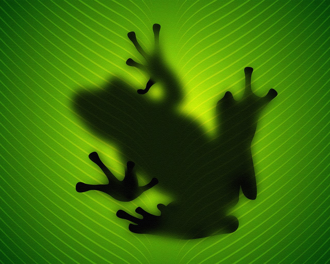 Обои зелёный, лист, лягушка, green, sheet, frog разрешение 2560x1600 Загрузить