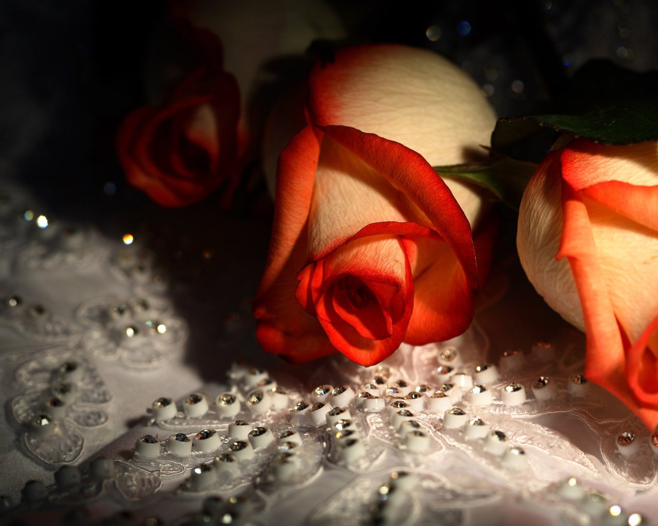 Обои цветы, розы, красивые, стразы, flowers, roses, beautiful, rhinestones разрешение 1920x1200 Загрузить