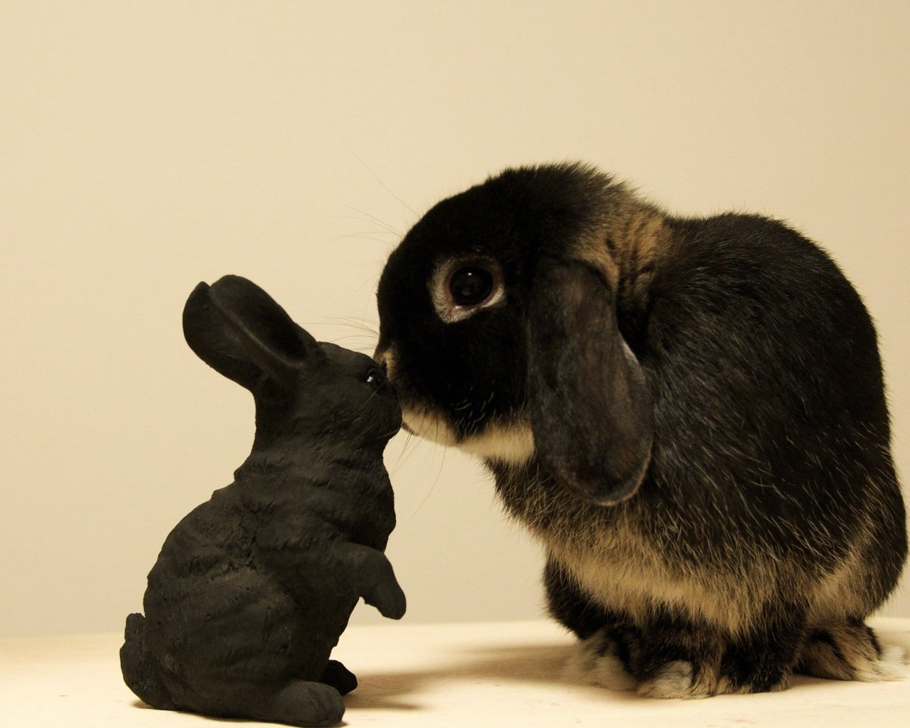Обои игрушка, кролик, зайчик, toy, rabbit, bunny разрешение 2560x1600 Загрузить