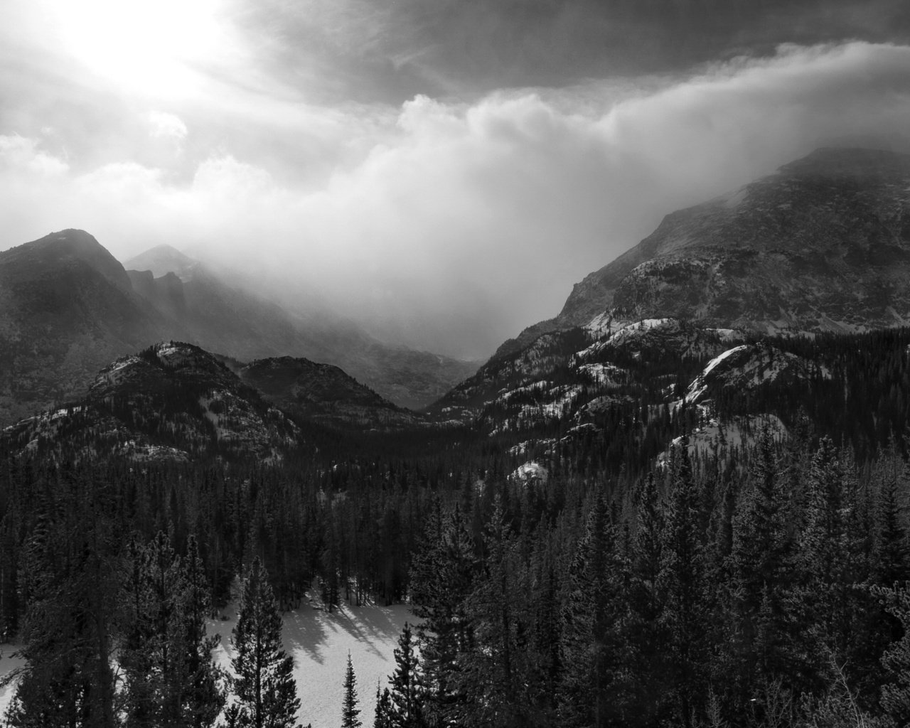 Обои горы, лес, черно-белая, mountains, forest, black and white разрешение 2560x1656 Загрузить