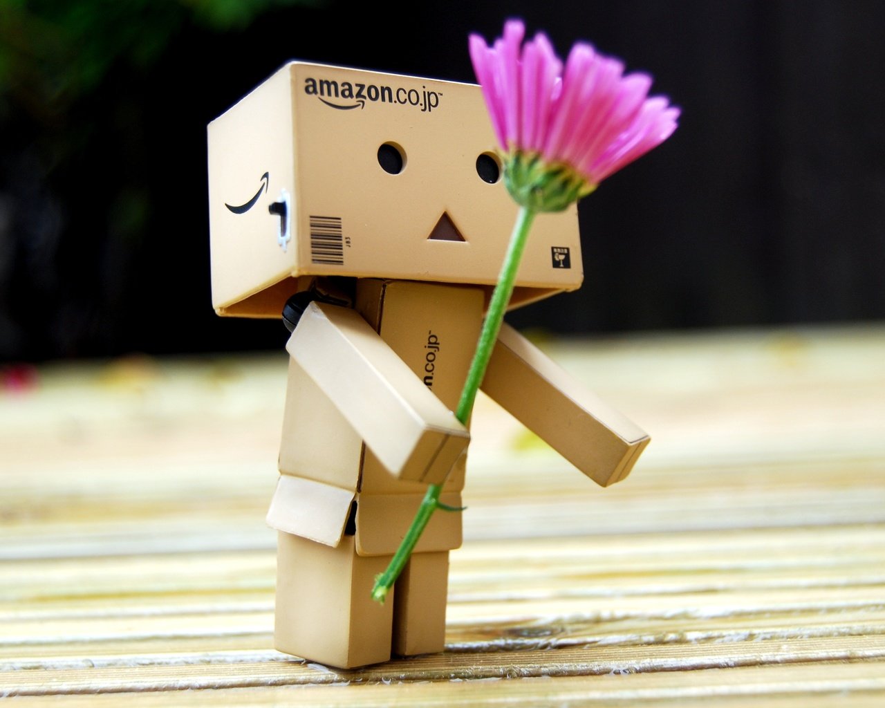 Обои цветок, робот, подарок, игрушечная, danboard, данбо, цветком, короб, flower, robot, gift, toy, danbo, box разрешение 3660x2369 Загрузить