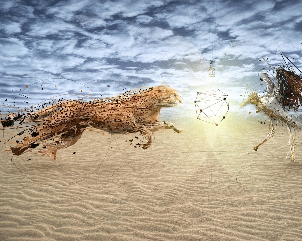 Обои небо, песок, гепард, the sky, sand, cheetah разрешение 1920x1200 Загрузить