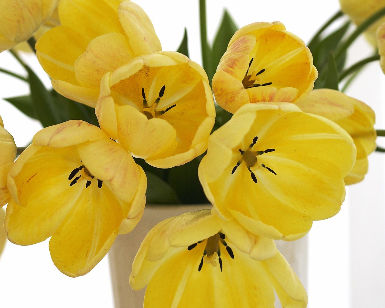Обои цветы, лепестки, букет, тюльпаны, ваза, желтые, flowers, petals, bouquet, tulips, vase, yellow разрешение 2560x1600 Загрузить