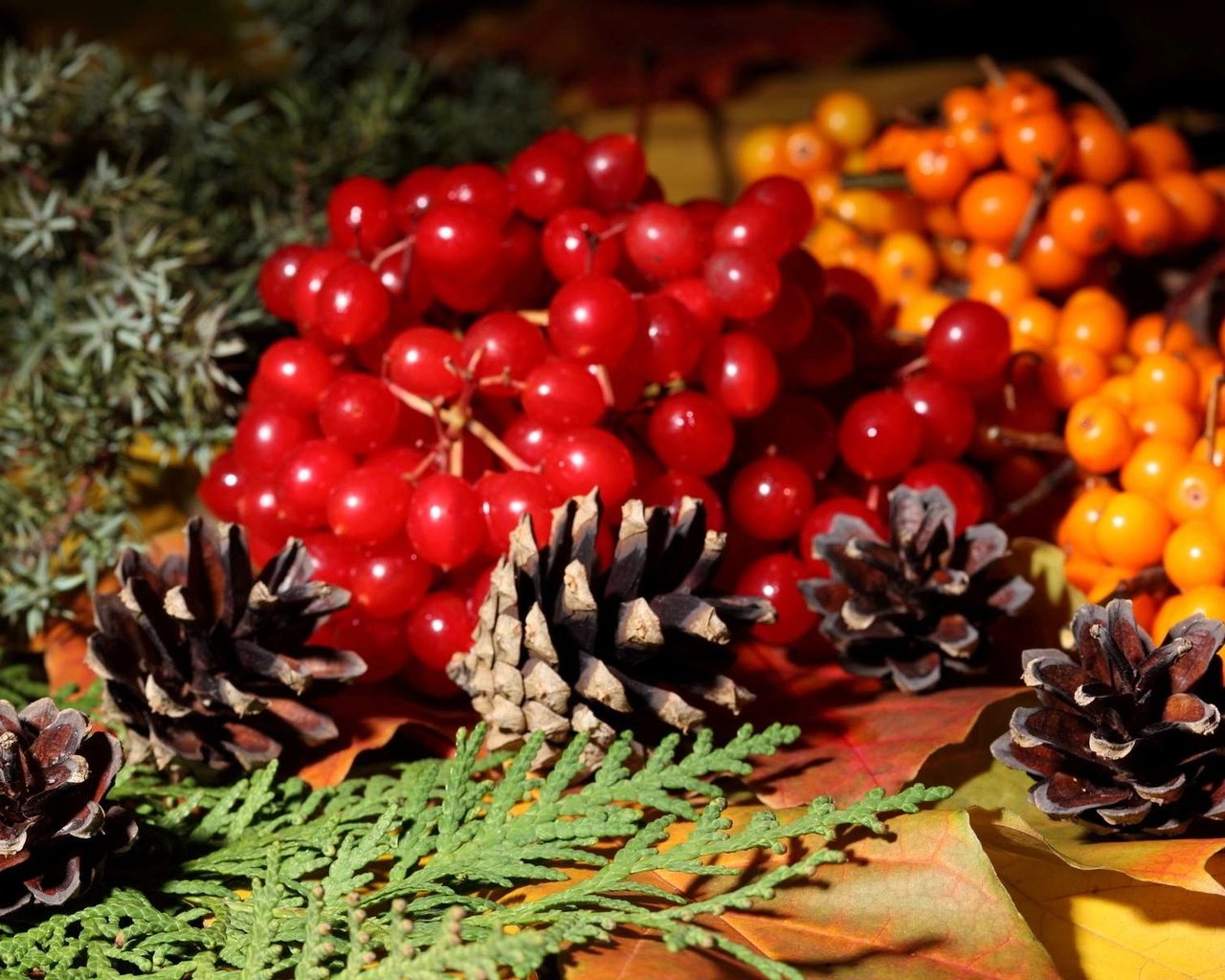 Обои осень, ягоды, шишки, рябина, калина, autumn, berries, bumps, rowan, kalina разрешение 1920x1200 Загрузить