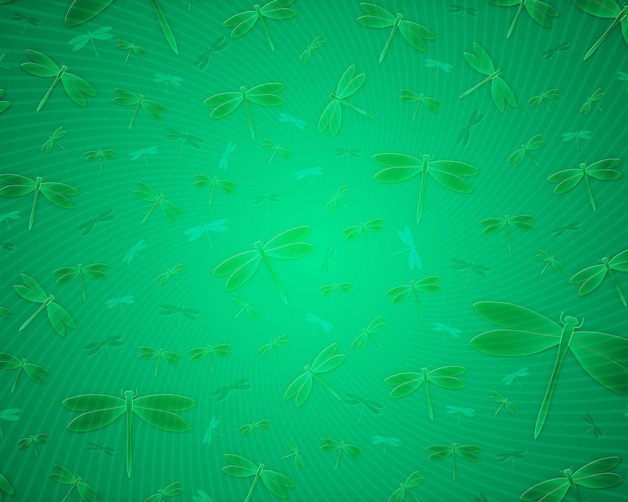 Обои зелёный, фон, стрекозы, green, background, dragonflies разрешение 2560x1600 Загрузить