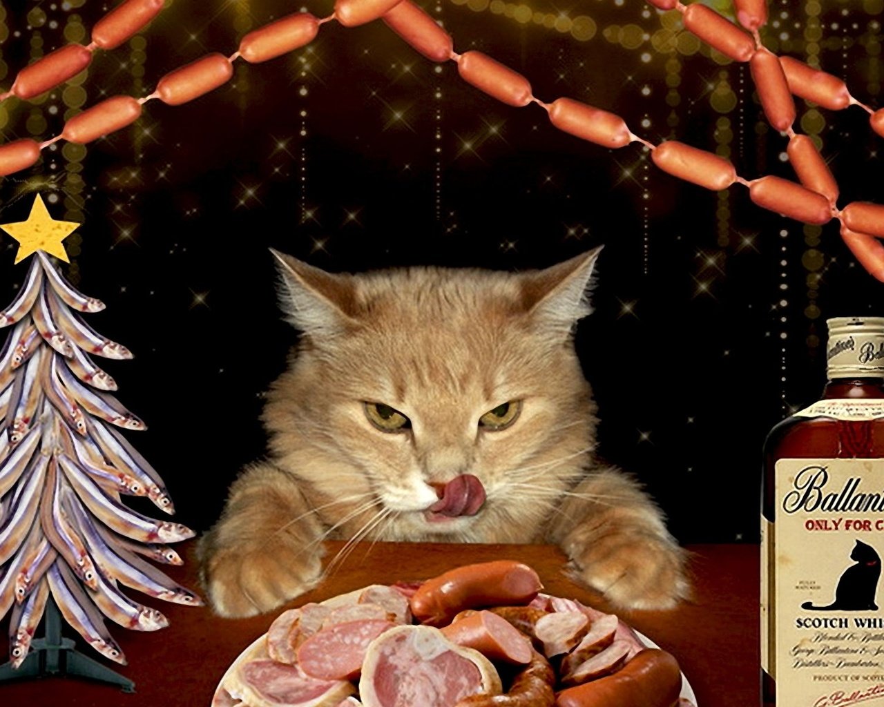 Обои морда, гирлянда, елка-рыбки, новый год, колбаса, кот, выпивка, усы, сосиски, кот за столом, мясо, пир, язык, обжора, бутылка, домашний питомец, праздник, нарезка, cutting, face, garland, tree-fish, new year, sausage, cat, booze, mustache, cat at the table, meat, feast, language, glutton, bottle, pet, holiday разрешение 1920x1200 Загрузить