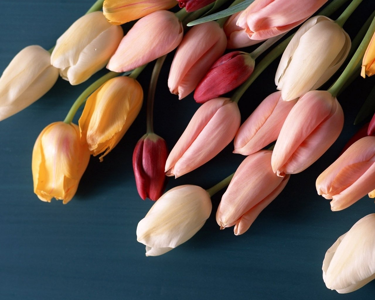 Обои cvety, tyulpany, butony, buket, poverxnos, разнцветные, raznocvetnye разрешение 1920x1200 Загрузить