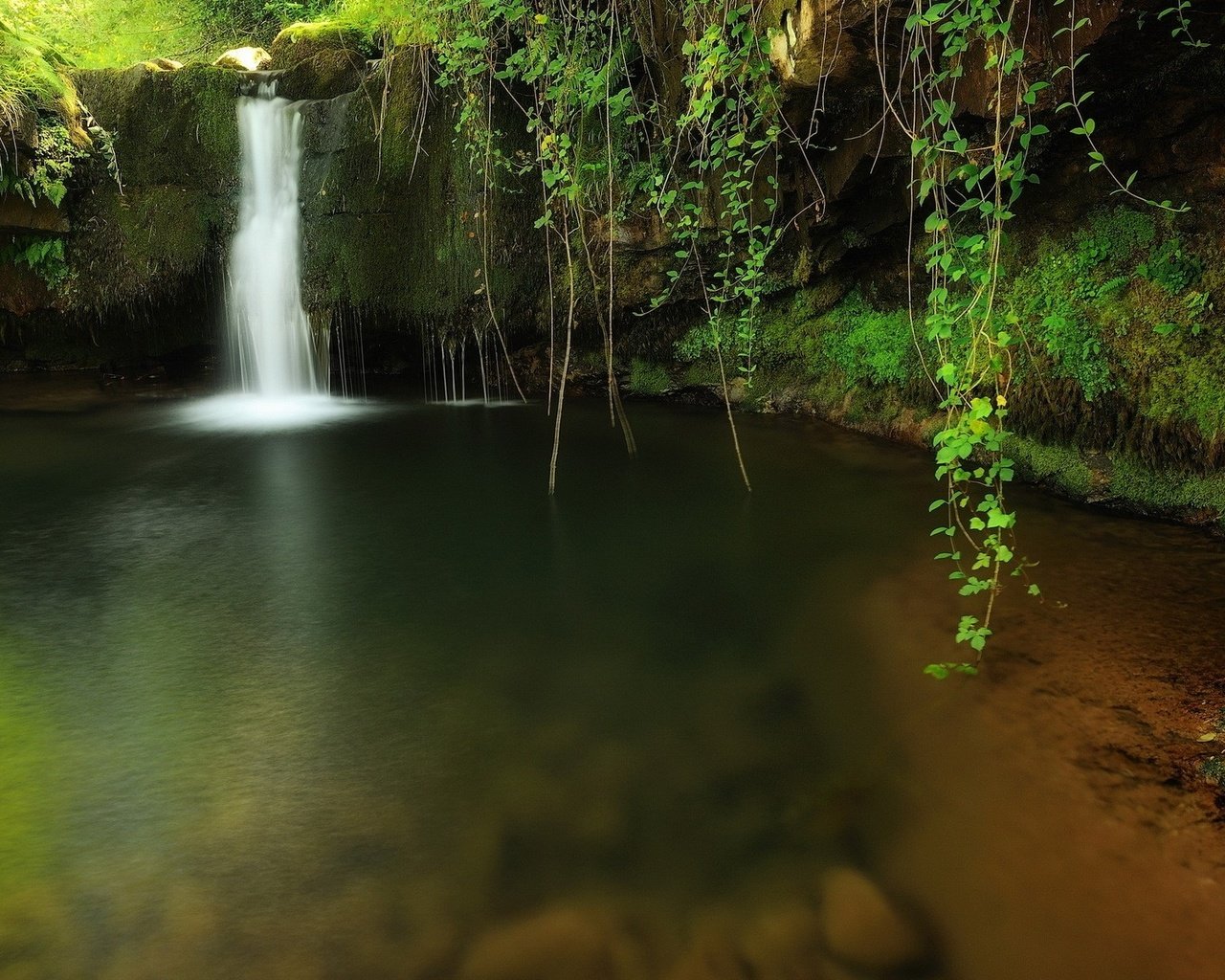 Обои озеро, природа, лес, водопад, лианы свисают, прозрачная вода, lake, nature, forest, waterfall, vines hang down, clear water разрешение 1920x1200 Загрузить