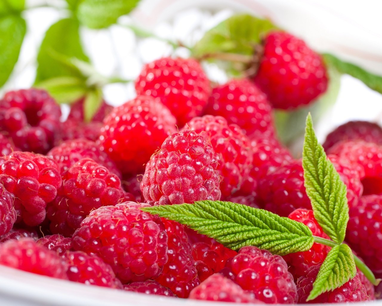 Обои листья, малина, ягоды, тарелка, leaves, raspberry, berries, plate разрешение 2560x1600 Загрузить