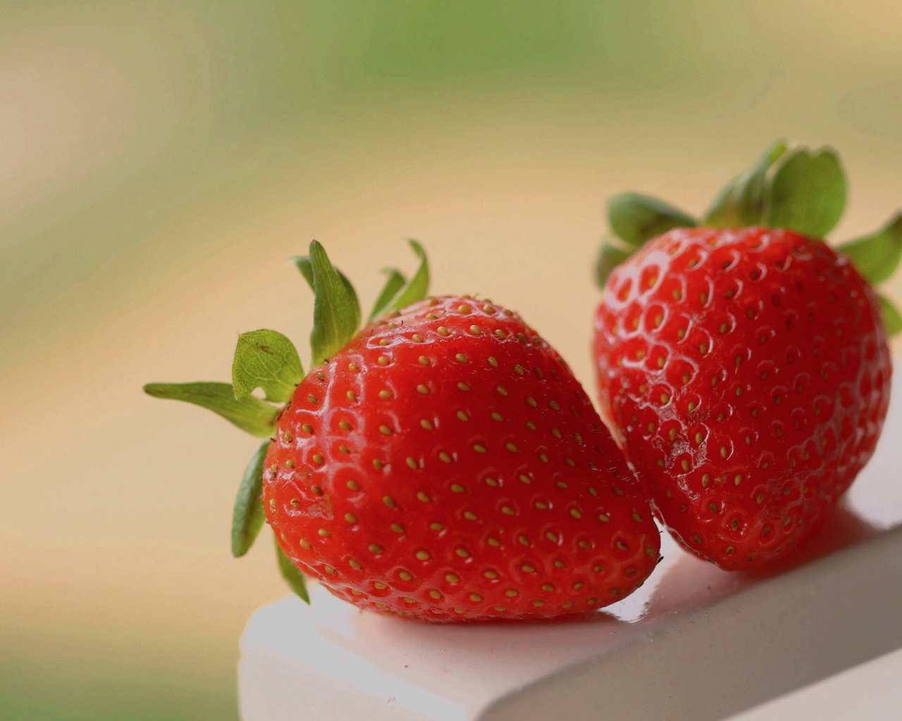 Обои красная, клубника, ягоды, сладкая, свежая, red, strawberry, berries, sweet, fresh разрешение 1920x1200 Загрузить