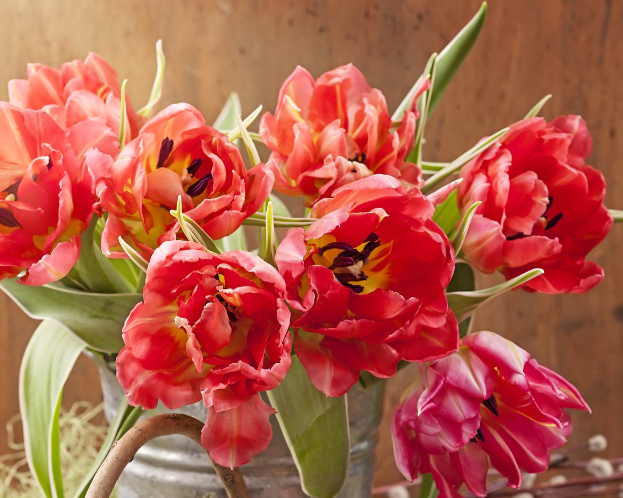Обои цветы, красные, букет, тюльпаны, крупным планом, flowers, red, bouquet, tulips, closeup разрешение 3700x2975 Загрузить